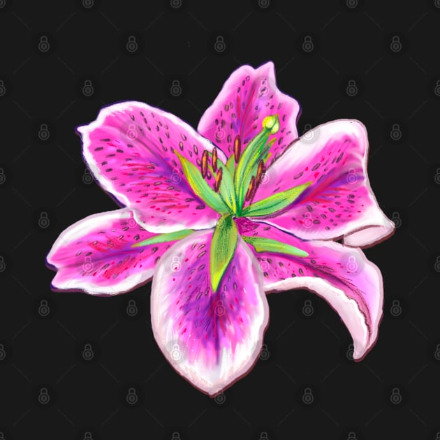 Lilly lily flower pink flowers by Artonmytee