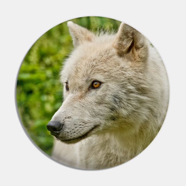 Arctic Wolf Pin by jaydee1400