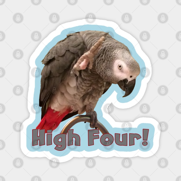 African Grey Parrot Waving High Four Magnet by Einstein Parrot