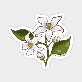 Orange Blossom Magnet