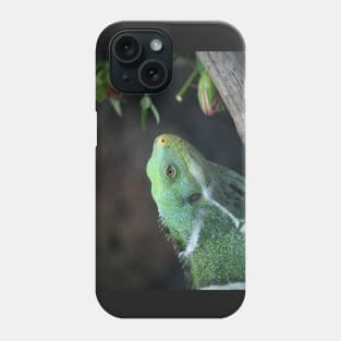 Fijian Iguana Phone Case