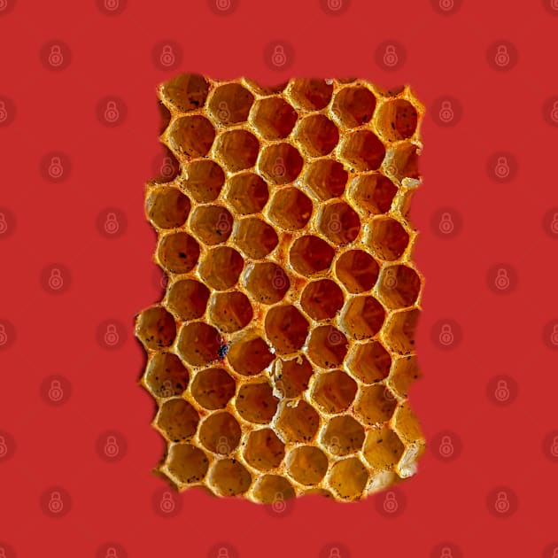 Honeycomb by dalyndigaital2@gmail.com