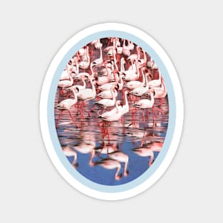 Pretty Pink Flamingos and Reflections Magnet