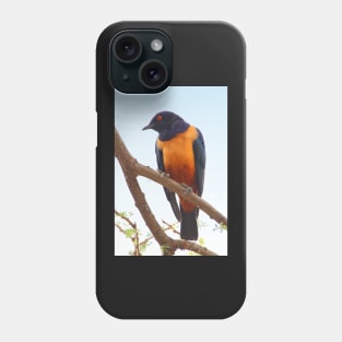 Hildebrandt's Starling, Serengeti, Tanzania Phone Case