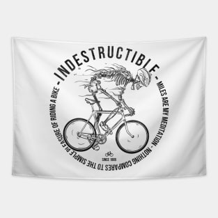 Cycling Indestructible Tapestry