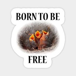 BORN TO BE FREE Magnet