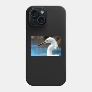 Tête d'oiseau sur la plage au Mexique Phone Case