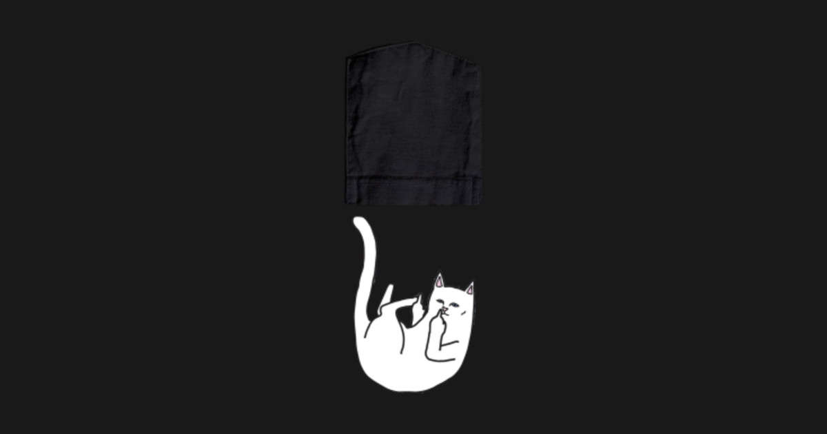 cat pocket middle finger