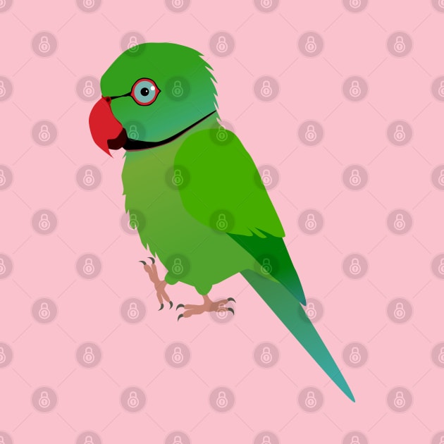 Cute Indian ringneck parakeet by Bwiselizzy