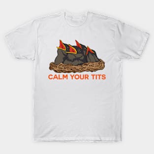 CALM YOUR TITTIES T-SHIRT — goesslie