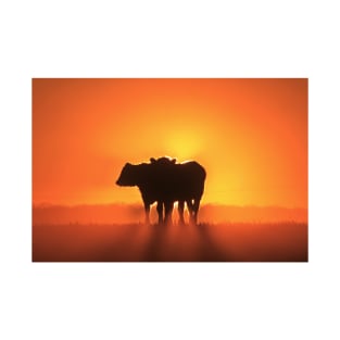 Kansas Golden Sunset with a Cows Silhouettes T-Shirt