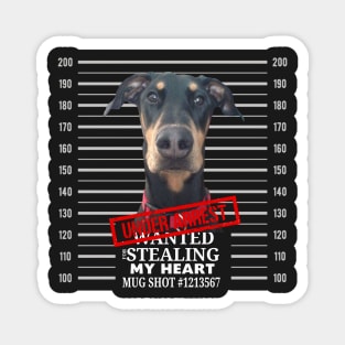 Doberman Mugshot Steeling my Heart Magnet