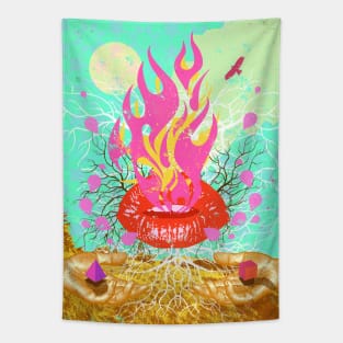 FLAMING LIPS Tapestry