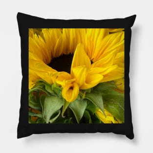 Sunflowers for Peace and Stability in Ukraine Pillow