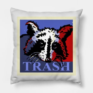 trash Pillow