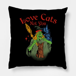 Love Cats Not You Pillow