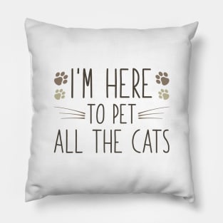 Pet All The Cats Pillow