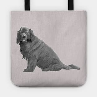 Newfoundland Tote