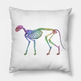 Cat Skeleton Rainbow Pillow