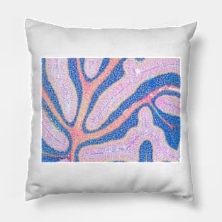 Cerebellum structure, light micrograph (P330/0479) Pillow