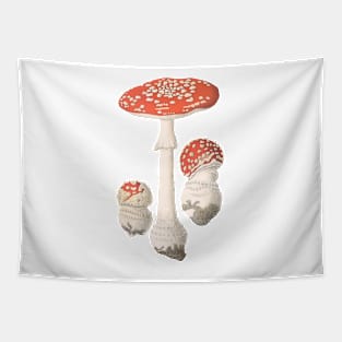 Vintage Mushroom Illustration Tapestry