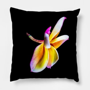 plumeria-flowers-dress-frangipani-floral-colorful-blossom-shirtyshirto-32 Pillow