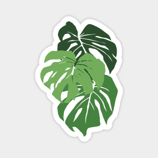 Monstera Leaves PLANTS-1 Magnet