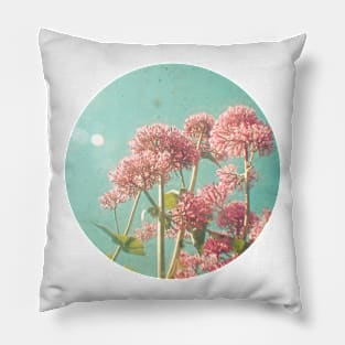 Pink Milkweed Pillow