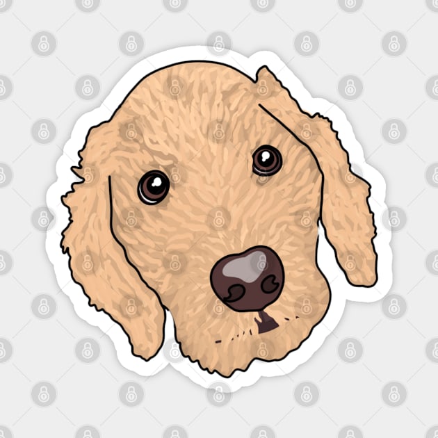 Lakeland Terrier Magnet by crankycranium