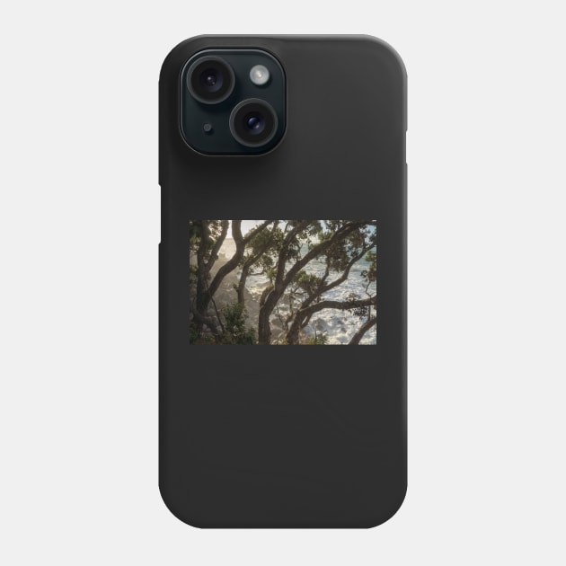 Mist through the trees. Phone Case by sma1050