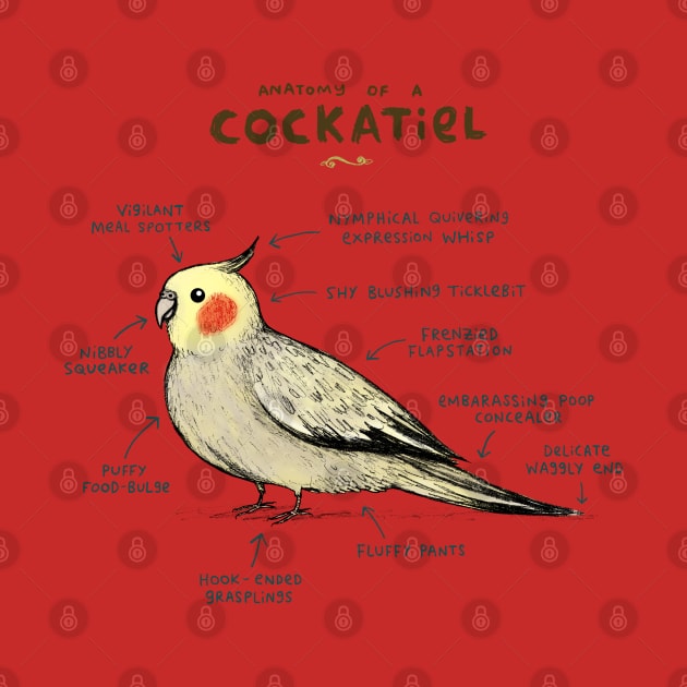 Anatomy of a Cockatiel by Sophie Corrigan