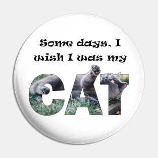 Some days I wish I was my cat - grey cat oil painting word art Pin