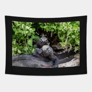 Galapagos Iguanas Tapestry