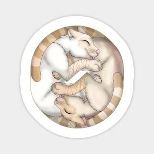 Yin-Yang Cats: Cream Lynx Point Magnet