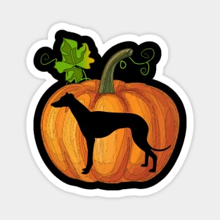 Greyhound in pumpkin Magnet