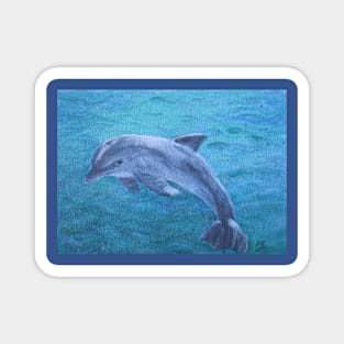 Dolphin Acrylic Painting Magnet