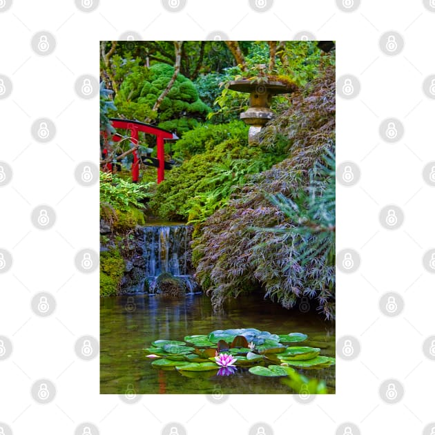 Canada. BC. Butchart Gardens. Japanese Garden. by vadim19