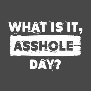 What is it, asshole day? T-Shirt