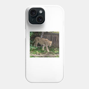 Lioness at the zoo Phone Case