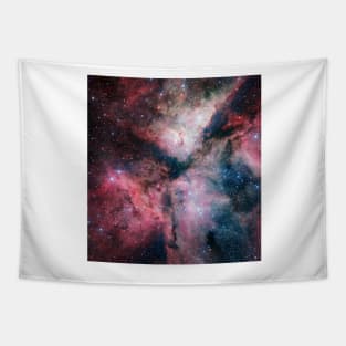 Carina Nebula (C020/0525) Tapestry