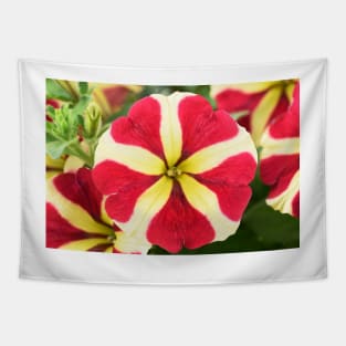 Petunia Amore Queen of Hearts Amore series Tapestry