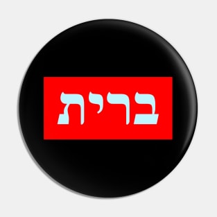 Hebrew Word for Covenant Pin