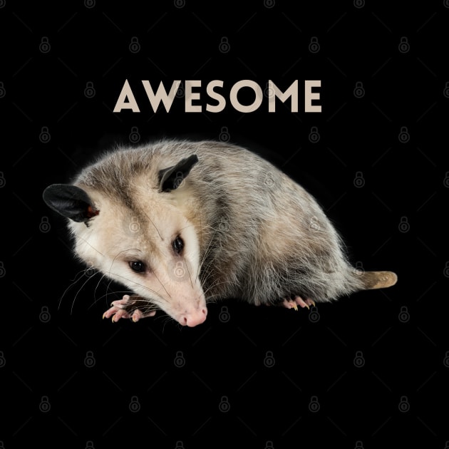 Awesome Opossum by tocksickart