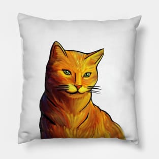 Ginger Cat Pillow