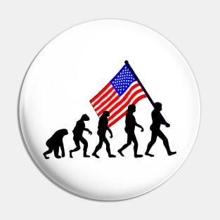 Evolution Us Flag Pin