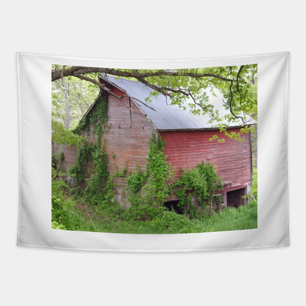 Cedar Rapids Barn Tapestry by KirtTisdale