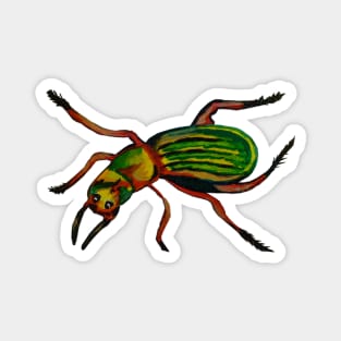 Colorful Insect Magnet