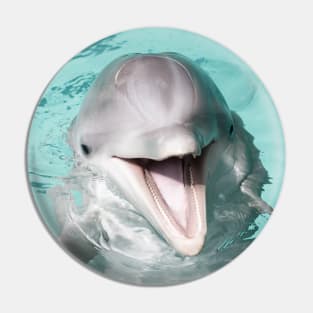 Dolphin portrait Pin