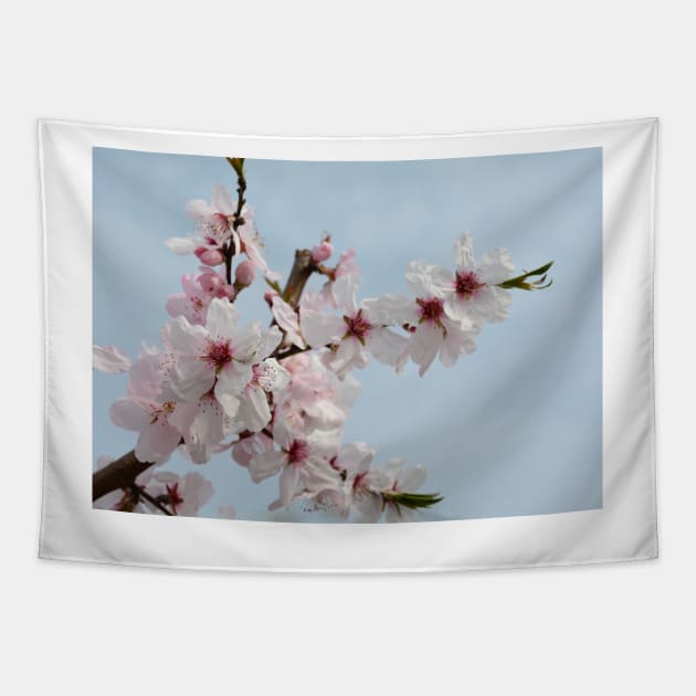 Almond Blossom Tapestry by jojobob