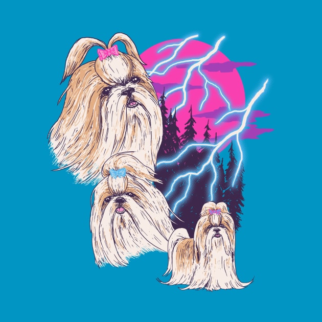 Lightning Shih Tzu by Hillary White Rabbit